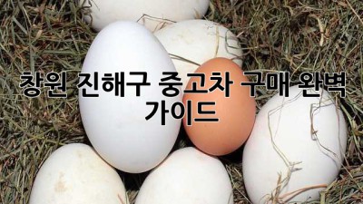 창원 진해구 중고차 구매, 완벽 가이드!